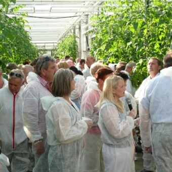 Na temat odmiany Foronti mówiła Katarzyna Kaczmarek z firmy De Ruiter