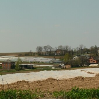 fot. 1-15 A. Wize, 26 kwietnia 2013 r. 