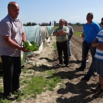 Władysław Tokarczyk z firmy Syngenta omawiał uprawiane w gospodarstwie odmiany kapust i kalafiorów...