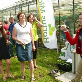 Ile waży owoc ogórka? Oceniały to uczestniczące w konkursie producentki - od prawej Agata Wójcik, Zofia Bartkowska, Danuta Smoleń i Anna Kocoń 