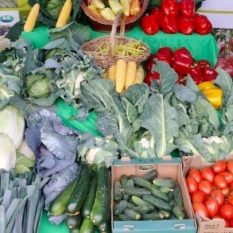 Stoisko firmy Syngenta