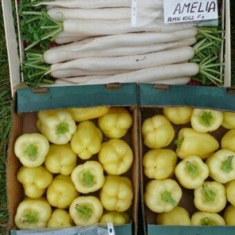 Fragment stoiska firmy Rol-Spec