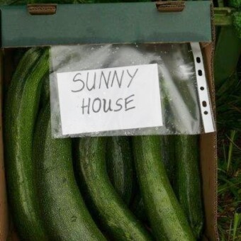 Sunny House z oferty firmy Rol-Spec