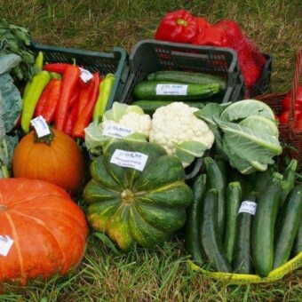 Warzywa francuskiego hodowcy firmy Clause