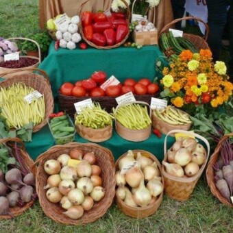 Stoisko firmy Polan...