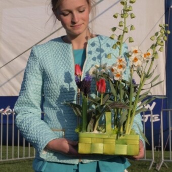 Jedna z wielu kompozycji z roślin cebulowych, zaprezentowanych podczas pokazu