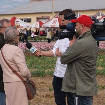 Tulipanowe święto w Chrzypsku relacjonowały ogólnopolskie media (tu: TVN 24)