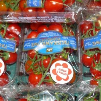 "Pomidory Truskawkowe" gotowe na sprzedaż