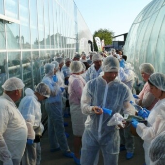 Zwiedzających uprawę obowiązywał pełny strój ochronny 