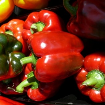 Abadia (Fito Semillas)