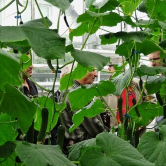 Uczestnicy spotkania "z perspektywy ogórka", fot. 1-11 M.Domoń