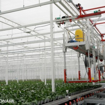 Dzięki wózkom inspekcyjnym z firmy Van Zaal pracownicy mogą przemieszczać się nad roślinami  