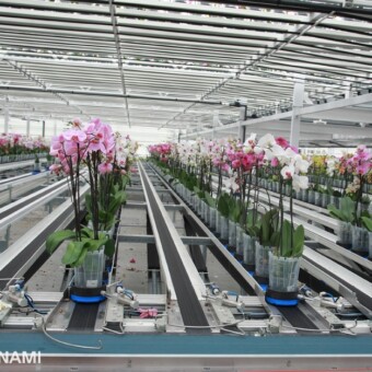 Dzięki podstawkom z indywidualnymi kodami każda roślina trafia we właściwe miejsce w obiekcie