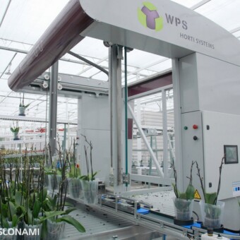 Robot, który ustawia rośliny na kontenerach