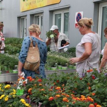 Dużym zainteresowaniem cieszyły się zioła  
