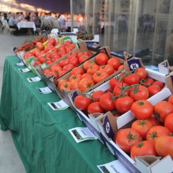 Prezentacja odmian które można było obejrzeć w uprawie w szklarni, fot 1-7 M.Podymniak 