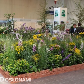 Fragment ekspozycji szkółki J.B. Szmit