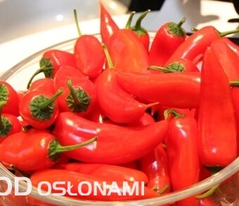 Papryka Angello - laureatka konkursu FLIA, fot. 1-3 T. Werner 