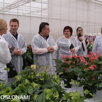Na kolekcji doniczkowych odmian anturium, od lewej: Ewa Kowalska, Andrzej Bembenista, Marian, Danuta i Karolina Spychała oraz Stefan Wiśniewski