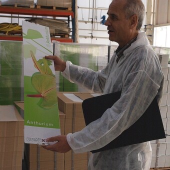 Wim Gijzen, menedżer firmy Anthura