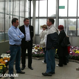 Bracia Marcin i Marek Cichoniowie udzielali informacji na temat odmian i ich uprawy 