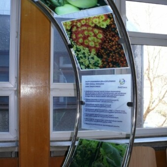 Fragment ekspozycji firmy D.A. Glass