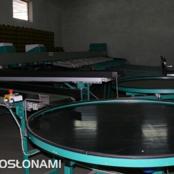 Obrotowe stoły do pakowania pomidorów o dużych rozmiarach