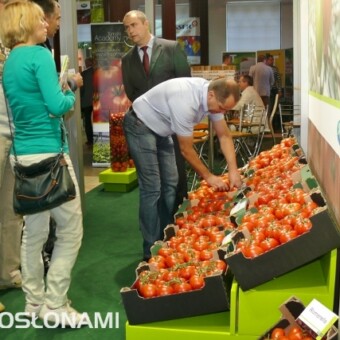 Rozmowy na stoisku firmy Syngenta