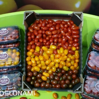 Na stoisku Syngenty promowano także projekt "Tęcza Smaku" i odmiany, które mają być sprzedawane pod tym znakiem