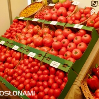 Ekspozycja odmian pomidorów na stoisku firmy Nickerson-Zwaan