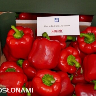 Na stoisku firmy Yara prezentowano warzywa z upraw nawożonych z wykorzystaniem produktów tej firmy - papryka z uprawy Marcina Bednarka z Grabowej