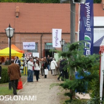 Dni Ogrodnika 2012 - pierwszy dzień wystawy