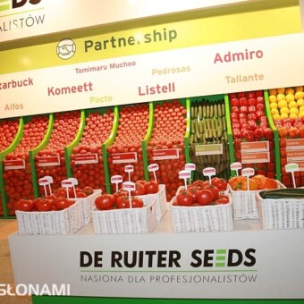 Ekspozycja odmian De Ruiter Seeds w Gołuchowie