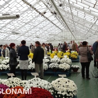 Ogrodnicy z zainteresowaniem oglądali również kolekcję odmian 