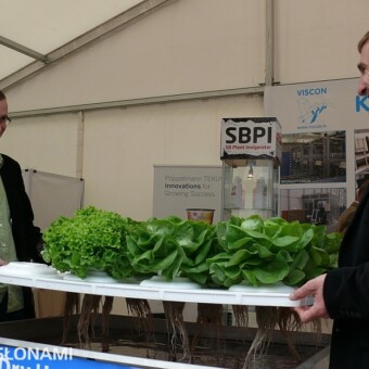 System Dry Hydroponics na stoisku firmy Brinkman w Gołuchowie