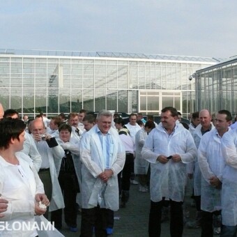 Na chwilę przed wejściem do szklarni...