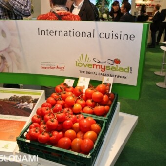 Lovemysalad.com - zachęcano do odwiedzenia tej interaktywnej strony