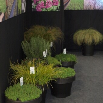 Fragment wyróżnionego w konkursie "Acanthus Aureus" stoiska firmy Panek...