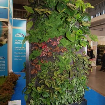 "Zielona ściana" z ekspozycji firmy Adviser