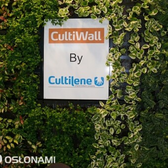 CultiWall - pionowe, dekoracyjne nasadzenia w wełnie mineralnej