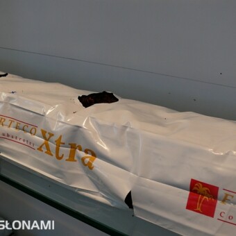 Mata kokosowa Forteco Xtra