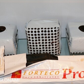 Kokosowa kostka rozsadowa w foliowej osłonce z ażurowym dnem