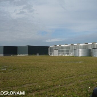 Holenderska stacja doświadczalna w Terneuzen, gdzie wykorzystywane jest ciepło "poprzemysłowe", fot. 1-9 J. Firla