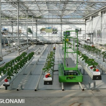 Różne modele rynien z firmy Formflex/Metazet w szklarni demonstracyjnej w Honselersdijk