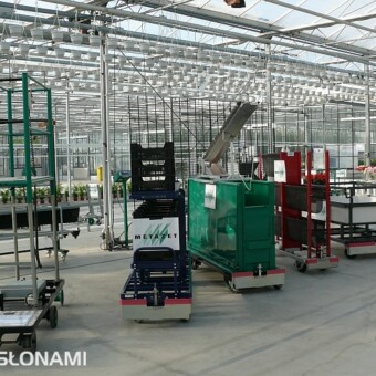 Wózki do pielęgnacji i zbiorów warzyw i kwiatów ciętych (Formflex/Metazet, szklarnia demonstracyjna)