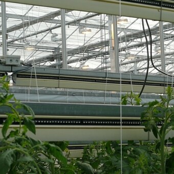 Doświadczenie z doświetlaniem międzyrzędowym (interlighting) lampami LED