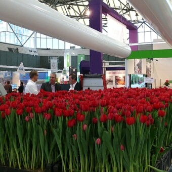 System konktoli klimatu podczas produkcji tulipanów (Frans Van Zaal)