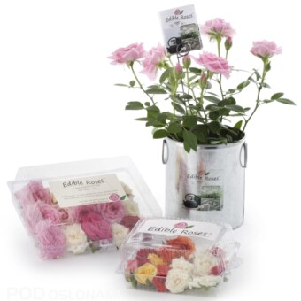 Koncepcja marketingowa Edible Roses TM (jadalne róże)