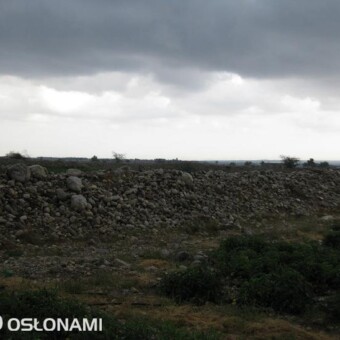 Tylko większe kamienie usuwa się na skraj pól uprawnych