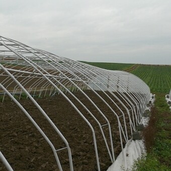 Konstrukcje tuneli do uprawy najwcześniejszych warzyw kapustnych stawiane są już w październiku 
